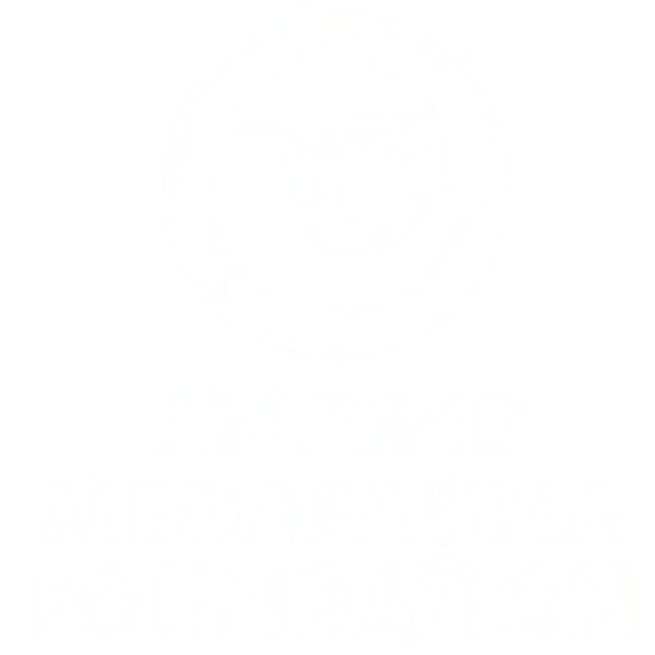 marine-megafauna-foundation-1