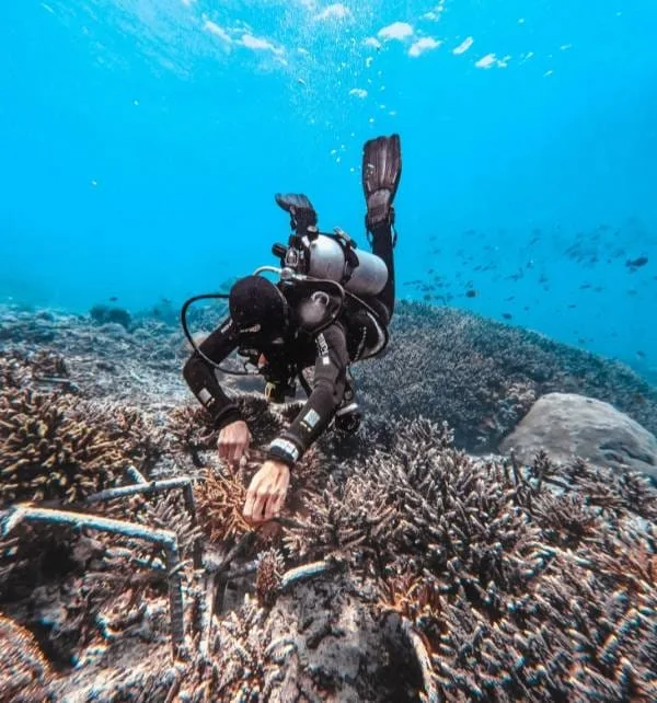 Coral Propagation news 1