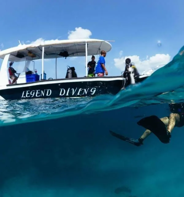 The experience of lifetime 3